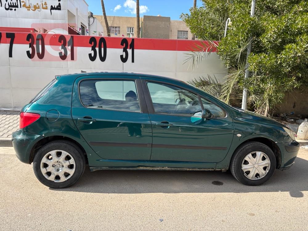 بیجۆ 307